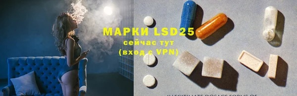 мяу мяу мука Абаза