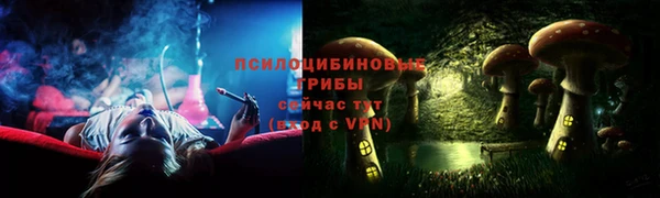 крисы Абдулино
