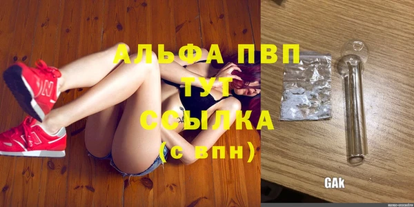 мяу мяу мука Абаза