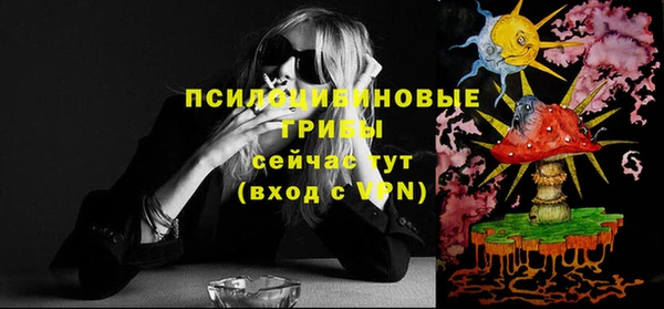 мяу мяу мука Абаза