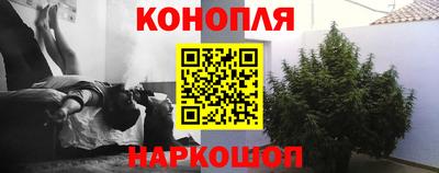 соль ск Пугачёв