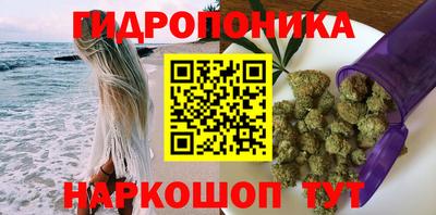 соль ск Пугачёв