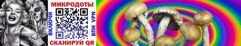 Галлюциногенные грибы Psilocybine cubensis ссылка на мегу tor Тутаев