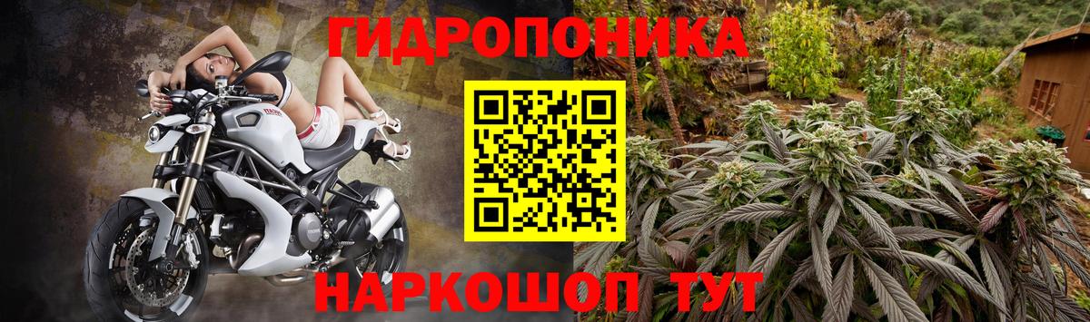 Тутаев  Марихуана планчик  Марихуана марихуана  Вход с VPN  Каннабис семена 